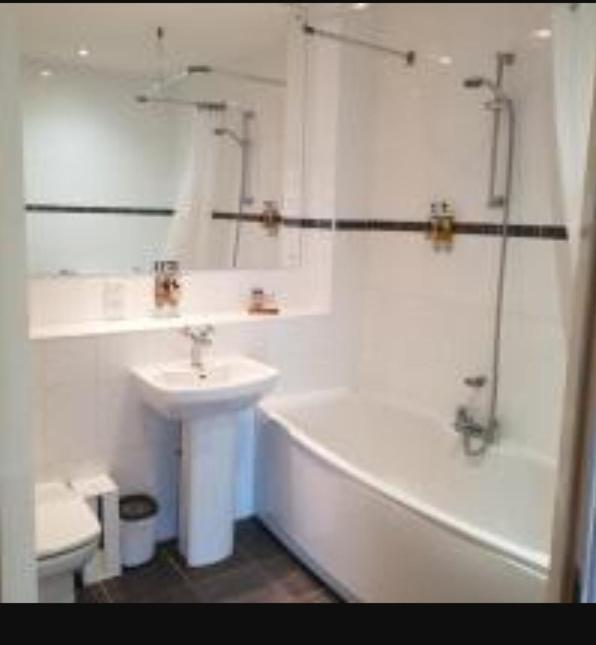 Parc Y Bryn Luxury Penthouse Apartment Aberystwyth Exteriör bild