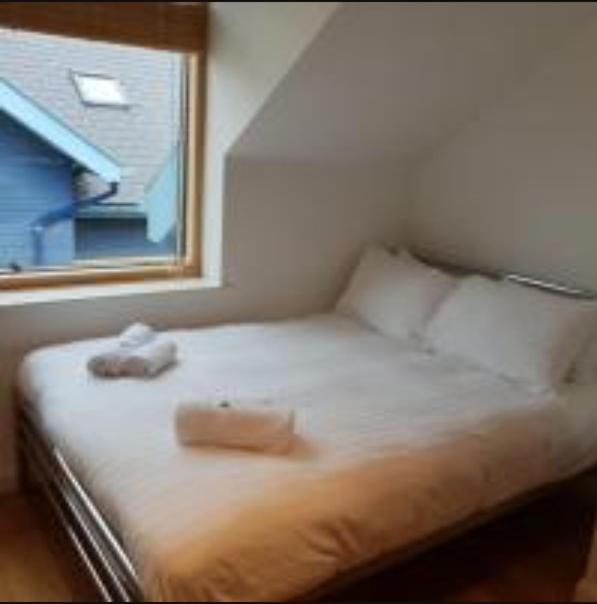 Parc Y Bryn Luxury Penthouse Apartment Aberystwyth Exteriör bild
