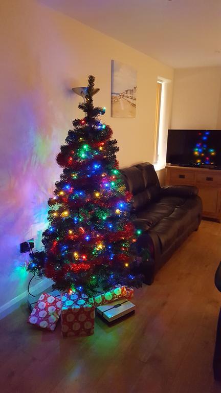 Parc Y Bryn Luxury Penthouse Apartment Aberystwyth Exteriör bild