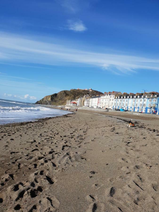 Parc Y Bryn Luxury Penthouse Apartment Aberystwyth Exteriör bild